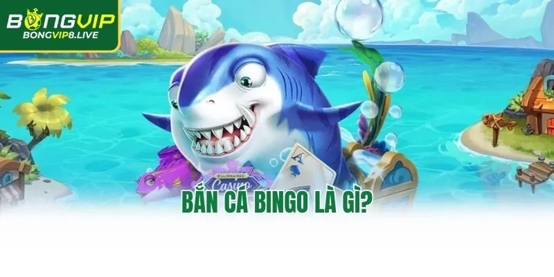 Bắn cá bingo là gì?