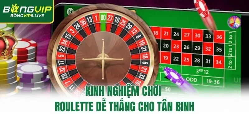 Kinh nghiệm chơi roulette dễ thắng cho tân binh