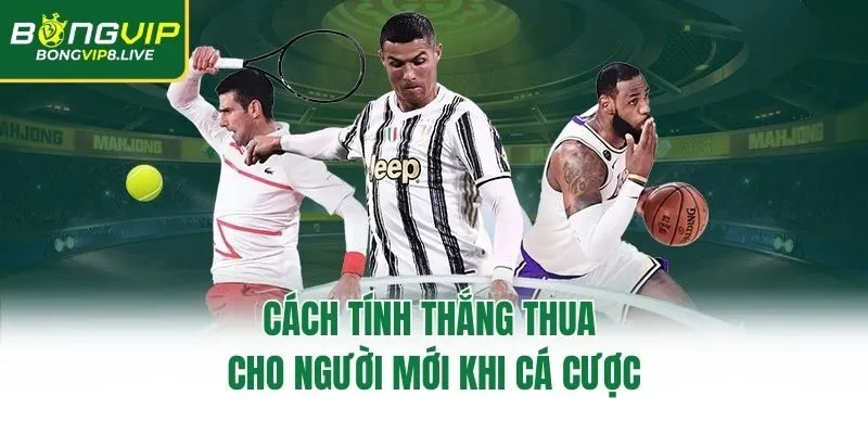 Cách tính thắng thua cho người mới khi cá cược