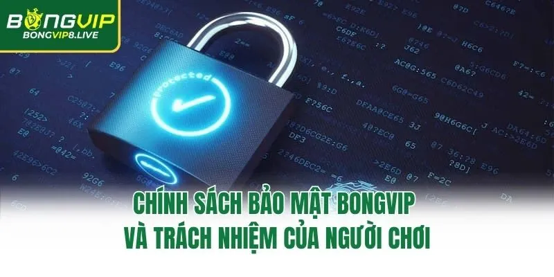 Chính sách bảo mật Bongvip và trách nhiệm của người chơi