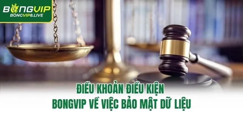 Điều khoản điều kiện Bongvip về việc bảo mật dữ liệu