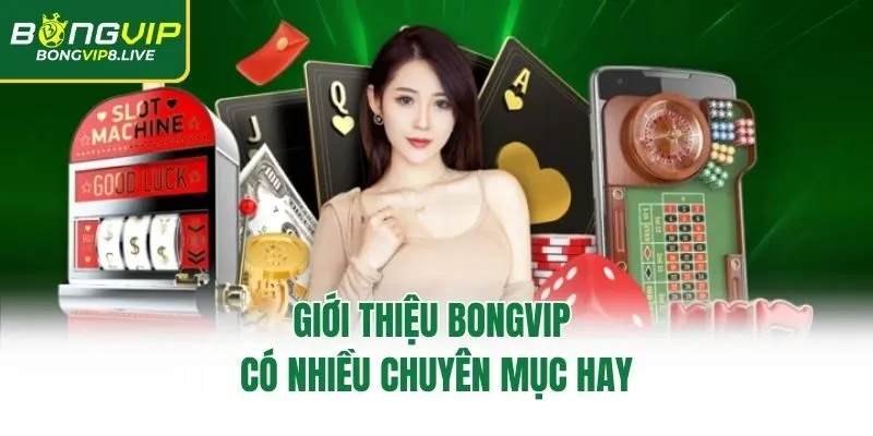 Giới thiệu Bongvip có nhiều chuyên mục hay
