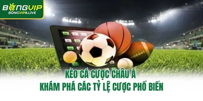 Kèo Cá Cược Châu Á - Khám Phá Các Tỷ Lệ Cược Phổ Biến