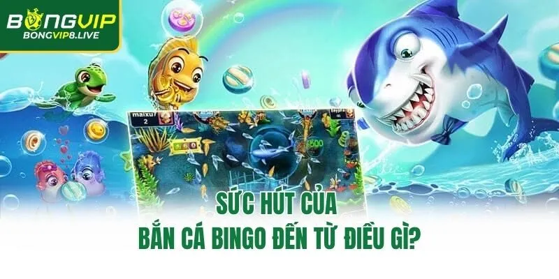 Sức hút của bắn cá bingo đến từ điều gì?